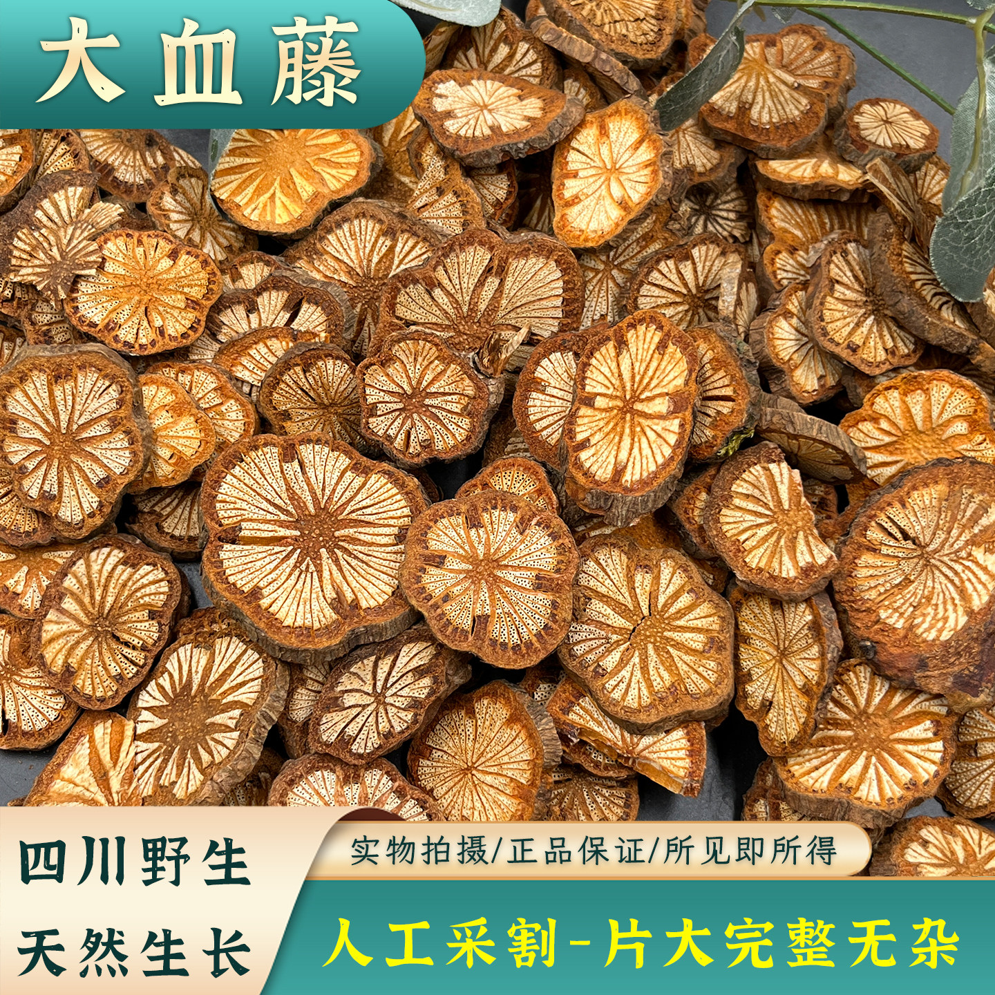 野生大血藤四川中药材血藤片红藤粗红血腾根刺藤血腾片血藤血通