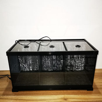 Specialized Small Electric Shock Fish Tank for Fighting Fish, Multi-Compartment Partitioned Tank for Fighting Fish, Viewing, with Cover, Glass Back and Side Filtration