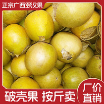 Golden fruit cracked shell and crushed fruit low temperature dehydrated Luo Han Guo Guangxi Guilin dried fruit bulk batch specialty fat fruit herbal tea