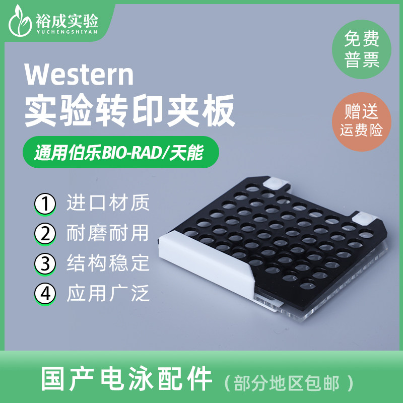 适配伯乐bio-rad 天能转膜夹转印三明治转移夹转印电极芯电转夹