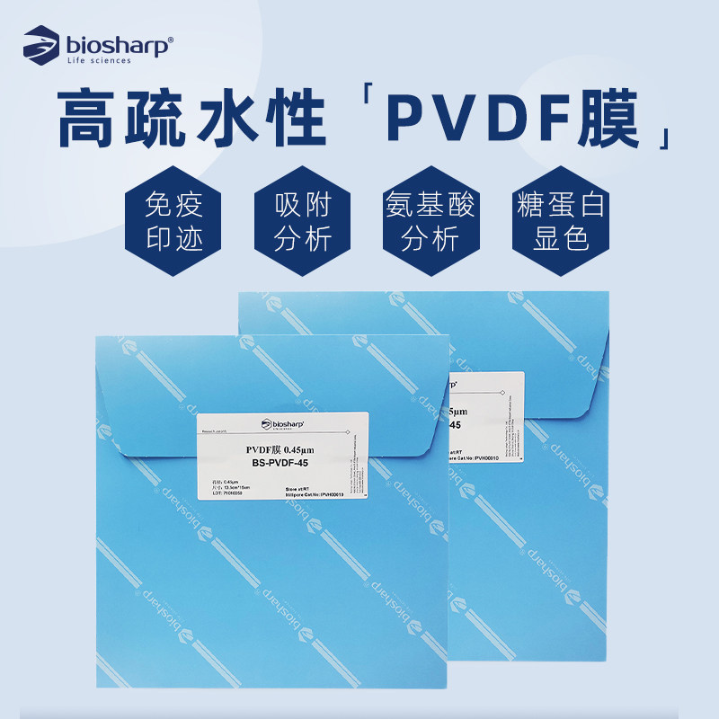 biosharp白鲨 0.45um预裁剪PVDF膜 NC膜 WB转印膜 蛋白印迹转印膜