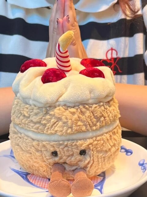 British Vockoo Fun Birthday Cake Creative Birthday Gift Plush Toy for Girls to Give to Girlfriend, Best Friend, or Child