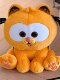 British Vockoo Genuine Childhood Garfield Cat Doll, Cat Plush Toy for Kidsren and Girls, Christmas and New Year Gift