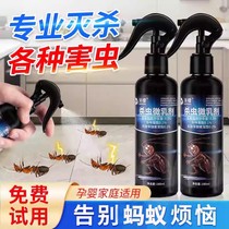 (Ants in a nest) Indoor powerful insecticide spray to remove ants from the whole nest.