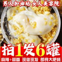 Garlic spicy oyster meat ready-to-eat freshly shucked oyster meat canned spicy seafood deli snacks internet celebrity snacks