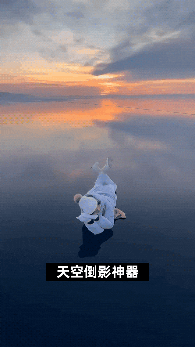 P_013.gif
