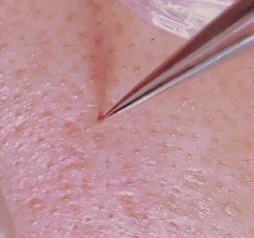 20260812_161240_002.gif