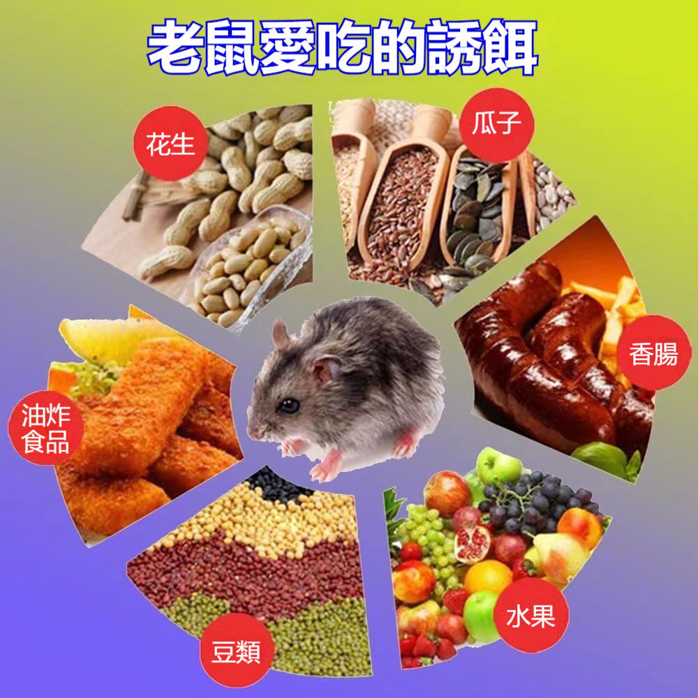 详情-4.jpg