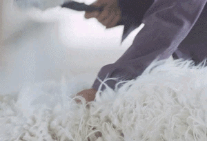06e0753e04a94b4b93454e105242c702lxlkwvega176397423.gif