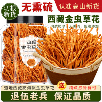 Cordyceps Flower Dried Goods Official Flagship Store Genuine 500g Commercial Grade Qingzang Cordyceps Flower, Special Mountain Grade Wild Cordyceps
