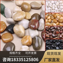 Hubei Rainpeolite Rock Natural Pebble Fish Bottle Paved Stone Pebble Fish Bottle Decorated Little Stone Goose