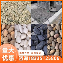 Shaanxi paved pebble paved roads large black and white stone raw stone tank decorated natural goose warm stone