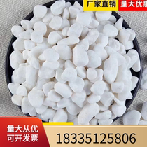 Hunan Natural White Stone Courtyard Paved Paved Paved Pebble White Stone Particles