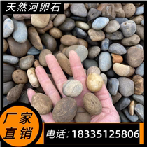 Henan Natural River Pebble Substation with Pebble Filter Strip Beach Palm Green Landscape Transforming