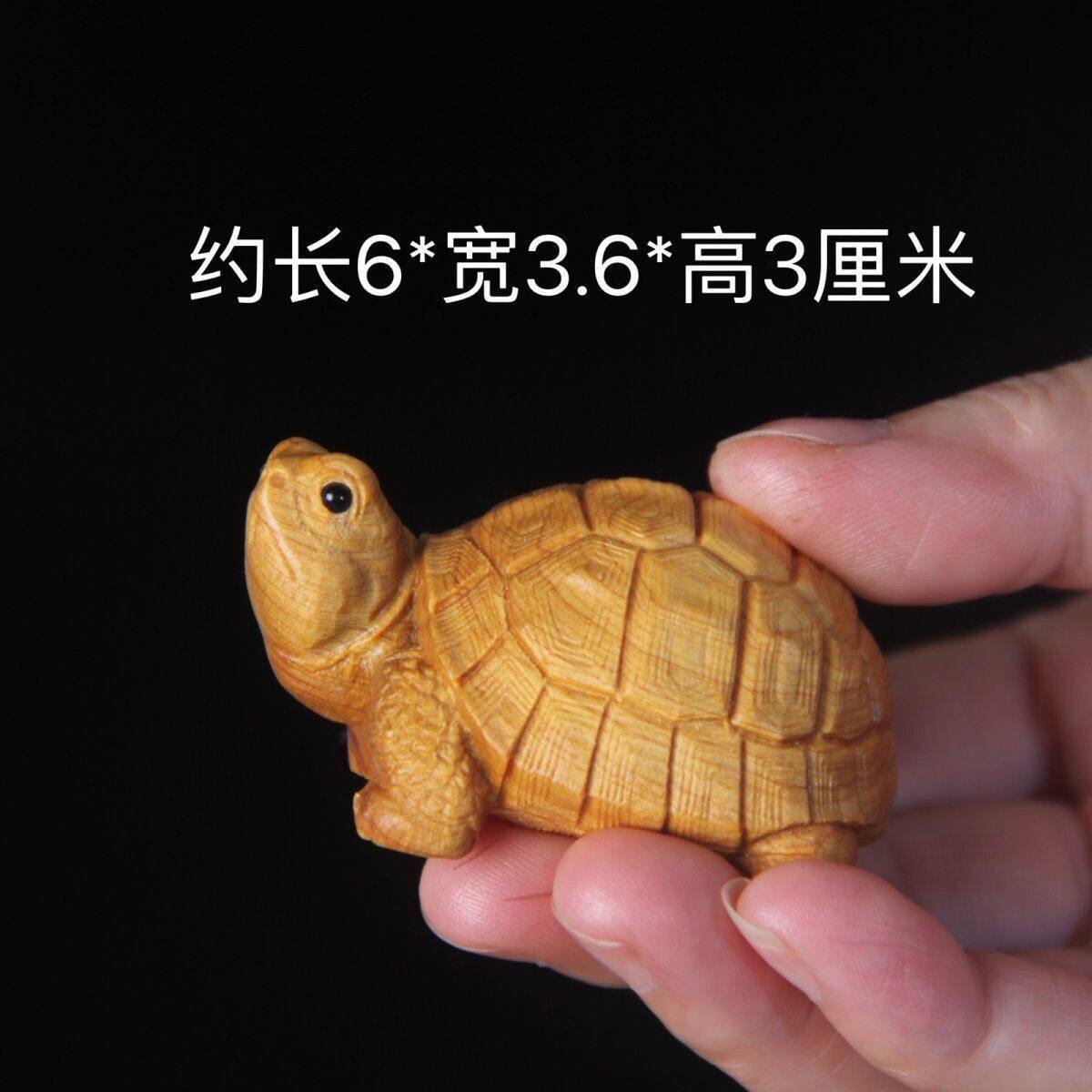 汽車 烏龜 符號 (99) 사진