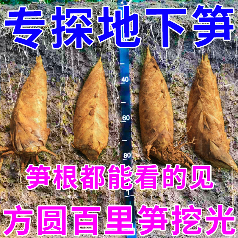 (Winter Shoots A Quick Glance) Winter Shoots Detection Instrument High Precision Winter Shoots Glasses Professional Dig Winter Shoots God Ware 2024 New-Taobao