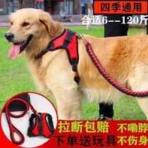 Golden retriever dog leash harness dog leash large dog leash medium-sized dog leash dog leash dog leash