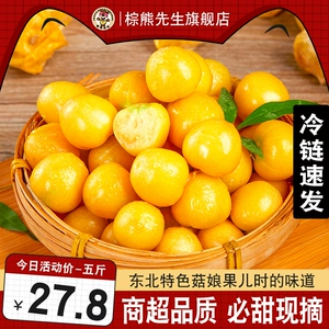 [【现货速发】东北姑娘果新鲜水果5斤特产灯笼果小金豆甜菇娘果]