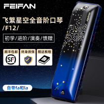 Feifan Twelve Hole Blues Harmonica C Key Beginner Student Entry Level 12 Hole Blues Adult Professional Performance Level
