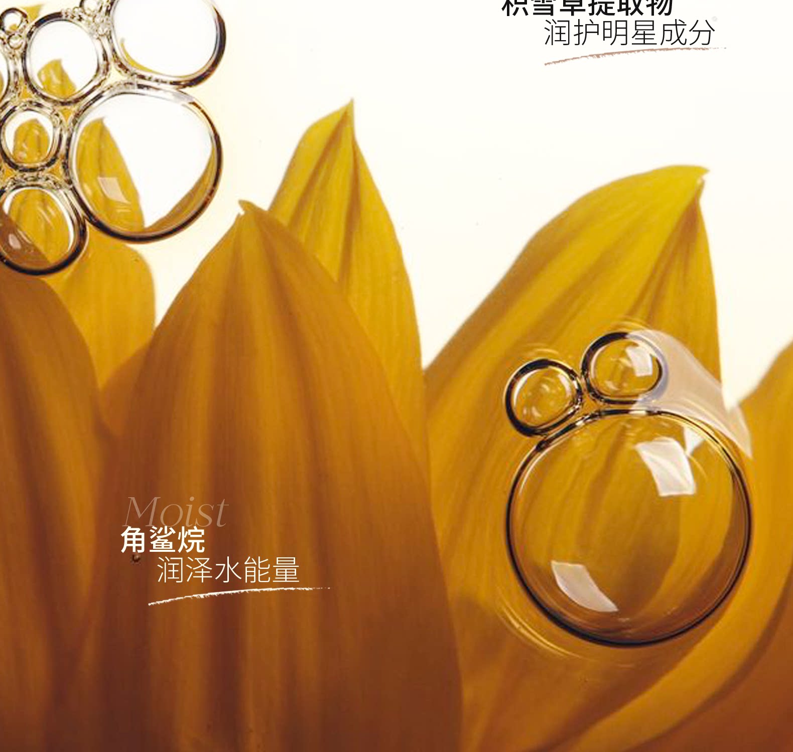 木柯诗 三色修容盘  哑光高光一体盘  化妆师专用鼻影阴影侧影  01#  9g