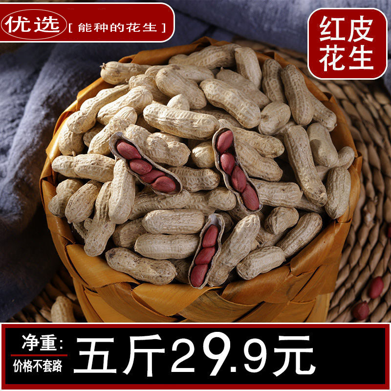 Wood Mmy Shell Northeast Four Grain Red Rice Peanuts With Shell Farmhouse Self-Prolific Original Flavor Bulk New Stock Peanut Fruits