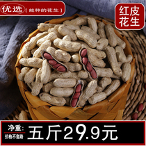 Wood Nai Shell Northeast Four Grain Red Rice Peanut with Shells Farmers Self-produced Original Bulk Peanuts