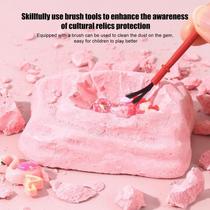 ga Fossil Dig K Archaeological excavation flamingo