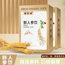 Green Yangyuan fresh ginseng drink without additives staying up late at work to relieve fatigue nutritional supplements qi and blood double rehydration solution