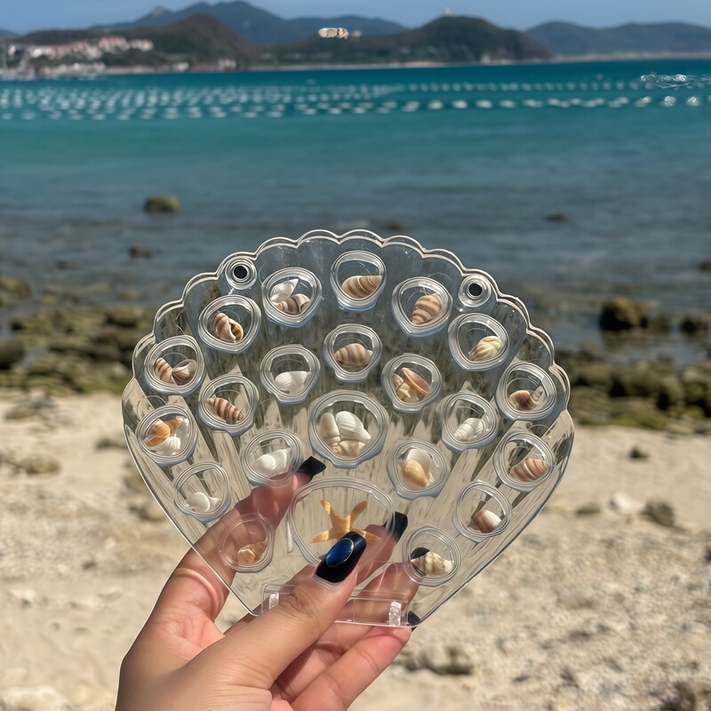 Beach Memories Treasured! Transparent Shell Storage Box to Capture Ocean Memories, Perfect for Photo Shoots and Enhance the Ocean Vibe Beach Memories Treasured! Transparent Shell Storage Box to Capture Ocean Memories, Perfect for Photo Shoots and Enhance the Ocean Vibe