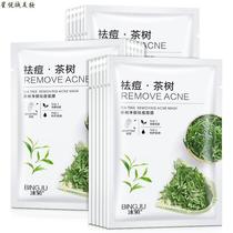 l Ice chrysanthemum tea tree beauty acne removal hydrating moisturizing care mask patch pack 10 pieces