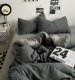 Four-Piece Set of Pure Cotton Bedding, Duvet Cover, Quilt Cover, Winter Thickened Brushed Cotton Bed Sheet, Fitted Sheet, Dormitory Three-Piece Set