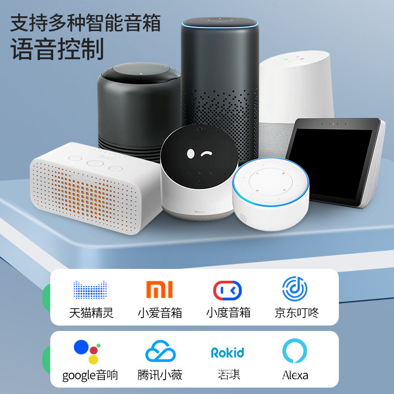 Tuya Smart Wifi Switch Micro Remote Dual Control Switch App Voice Remote Control Wireless Switch