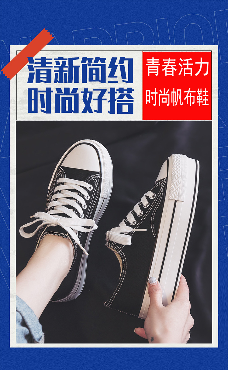 750_01.jpg