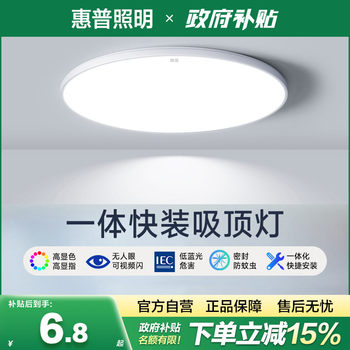 Hp Lighting Bedroom Ceiling Lamp Modern Simple Balcony Lamp Corridor Aisle Kitchen Study Lamp Zhongshan Lighting Fixtures