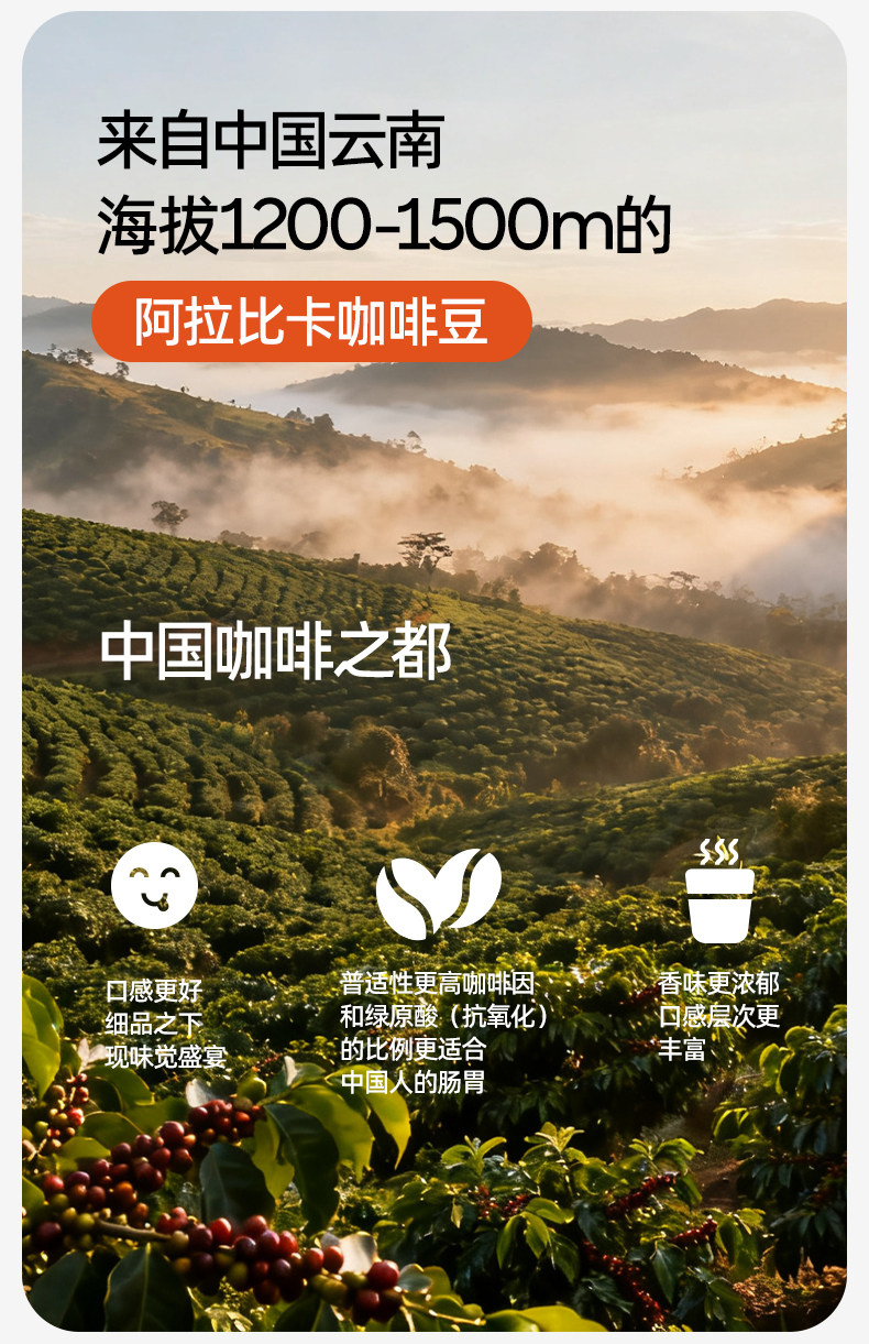 O1CN01BJMlUn28RXXbxYNzI_!!2216441557929 - 综合资讯 信息精选 机遇精觅精选天下
