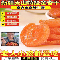 Positive and non-nuclear Kim apricot dry Xinjiang Tianshan Special production grade red almond meat dried fruit dried fruit dried zero food candied yellow almond strips