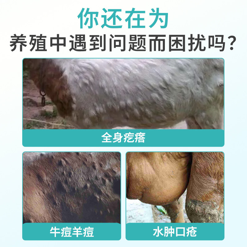 雄牧牛羊结节清:解决牛羊痘疹烦恼,让牧场主不再头疼!-家养大动物饲料-淘宝好物网