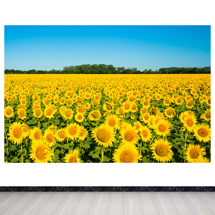 Sunflower Sea Scenery Mural Bedroom Background Wall Sticker Decorative Painting Sunflower Poster Plant Flower Self-Adhesive Painting