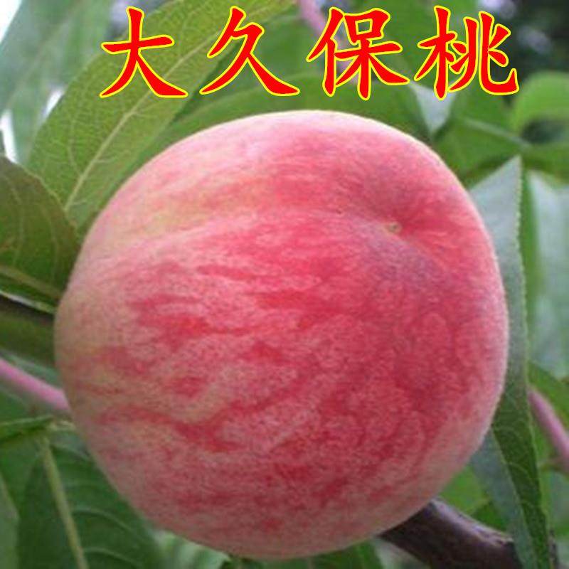 菜鸟网络平谷园区，普通女生的隐藏搞钱秘籍！