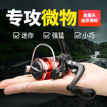 (Pocket Treasure) Micro Fish Reel Mini Full Metal Cup Spinning Reel Fishing Reel Pocket Fishing Reel Luya Reel