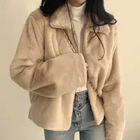 Apricot