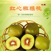 Guizhou Shuicheng Red Heart Kiwi Fruit Promotion Promotional Pack of 45 Pieces Freshly Picked and Straight from the Base
