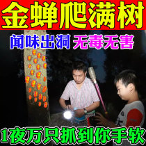 (Cicada comes in 1 second) Cicada trap cicada luring artifact catches cicada climbing fork monkey golden cicada special cicada luring water harmless