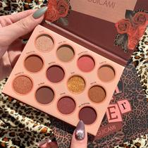 High-value eye shadow palette 2020 eye shadow popular color rose BAO WEN series 12-color eye shadow palette earth color matte