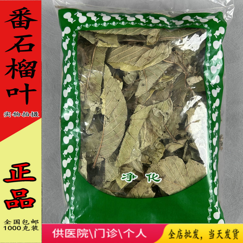 Guava Leaves, Chinese Medicinal Herb, 1000 Grams, Free Shipping, Wild Red Heart Guava Leaves, Balea Leaves Tea, Naturally Sun-Dried