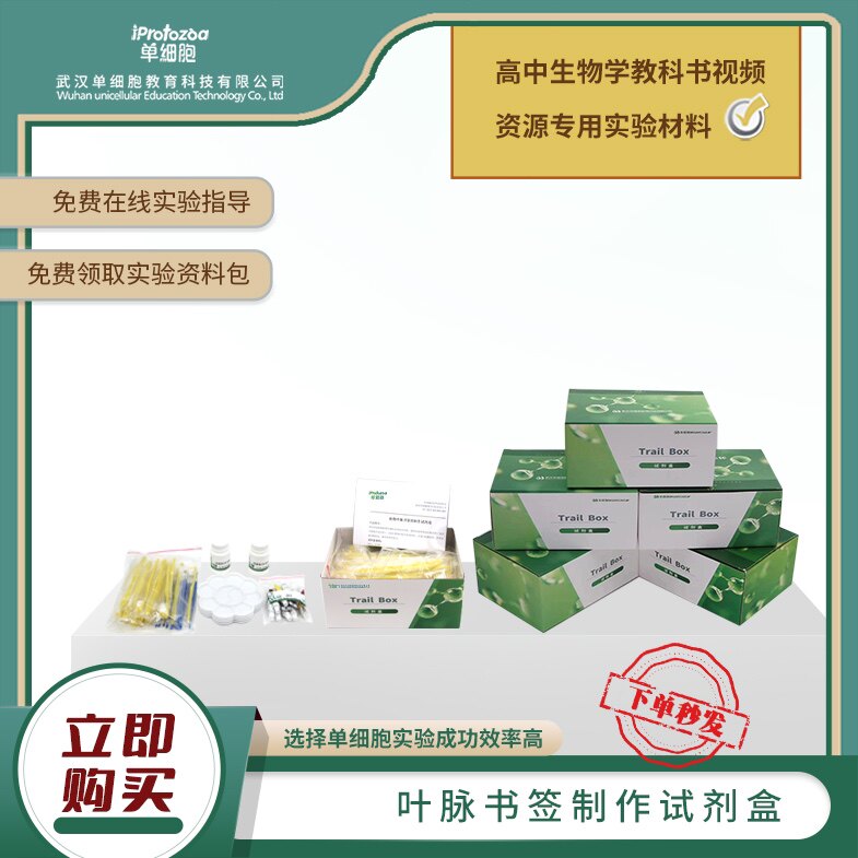 叶脉书签制作试剂盒  生物实验课程专用