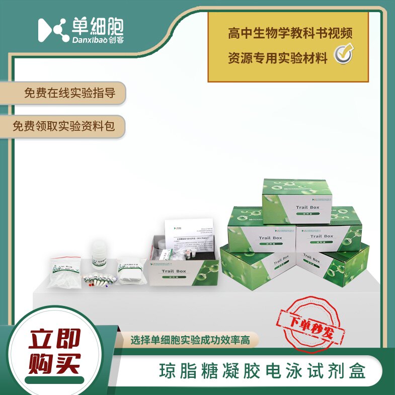 琼脂糖凝胶电泳试剂盒 适用于生物实验DNA片段的扩增及电泳鉴定