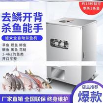 Fully automatic fish killing machine multi-functional commercial electric stainless steel scale-removing back-opening and belly-opening all-in-one machine for large and small fish artifacts
