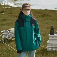 Классический съемный вкладыш, «три в одном»