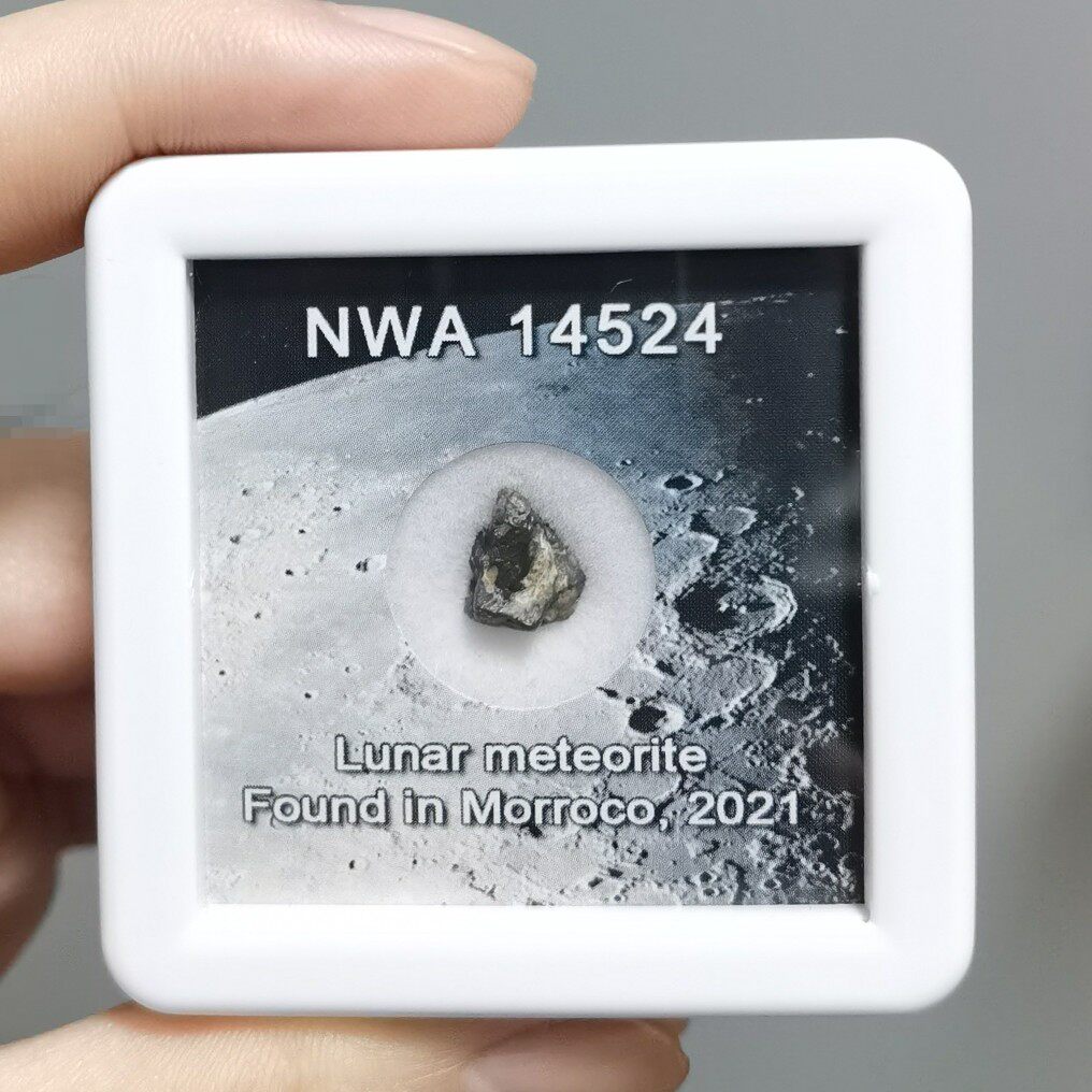 月のカケラ! ＊月の石＊ 月から来たNWA11273隕石標本 月のカケラ